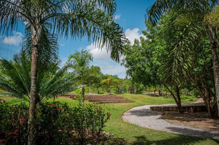 Foto: Reprodução/Prefeitura de Caruaru - PE