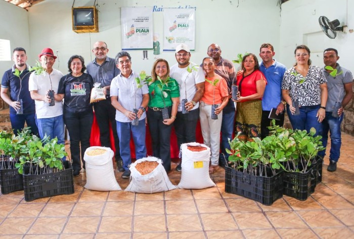 SAF entrega mudas de caju e sementes de feijão e milho para agricultores de 22 municípios no Piauí