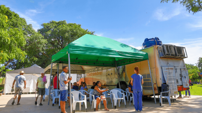 4º Mutirão de Castração de 2024 acontece entre 11 e 14 de julho
