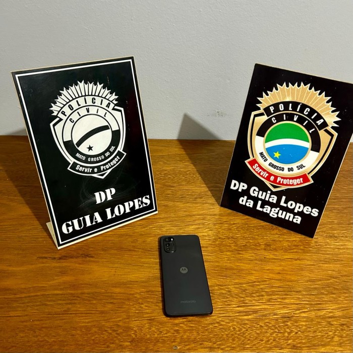 Foto: Reprodução/Polícia Civil - MS