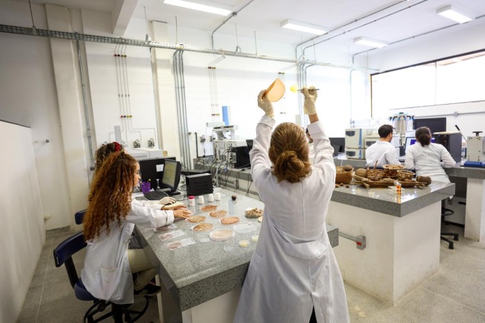 Crédito: Alex Ribeiro / Agência Pará