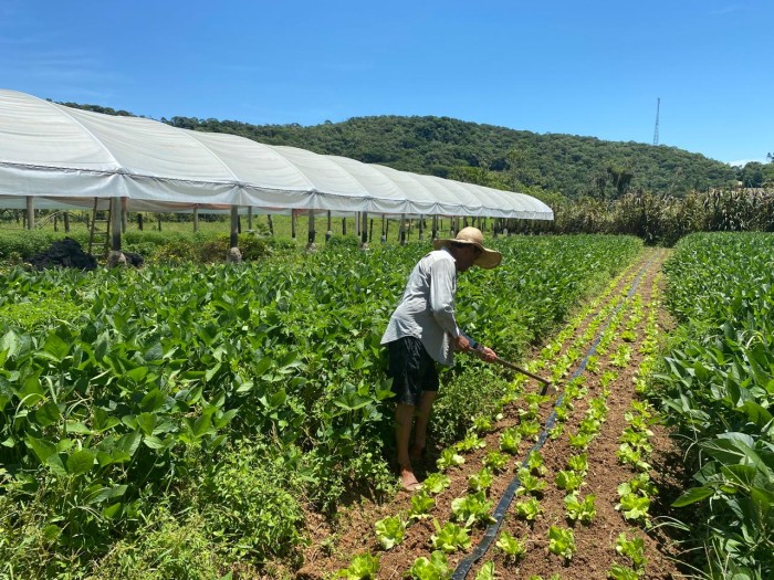 Prefeituras de SC têm até o dia 7 de fevereiro para fazer habilitação ao Programa de Aquisição de Alimentos