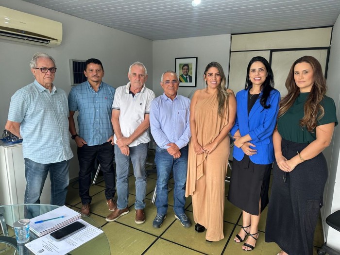 Cooperação técnica entre Governo do Estado e Serviço Geológico vai permitir diagnóstico do potencial mineral do Piauí