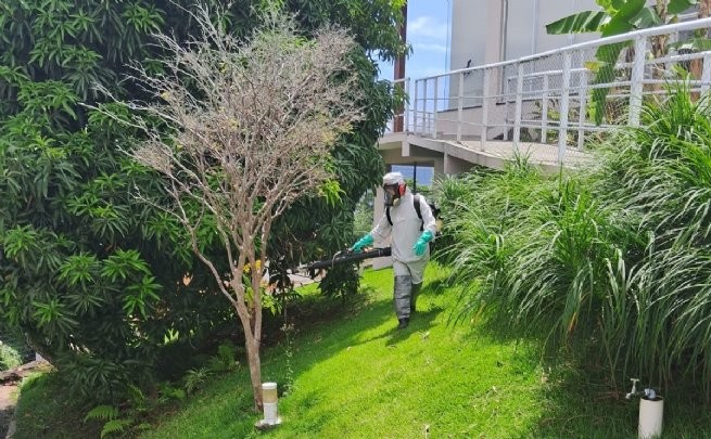 Foto: Reprodução/Prefeitura de São Sebastião - SP