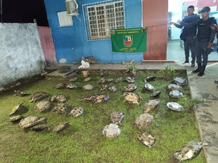 Base Tiradentes: PMAM apreende drogas e quelônios em abordagens a embarcações em Jutaí