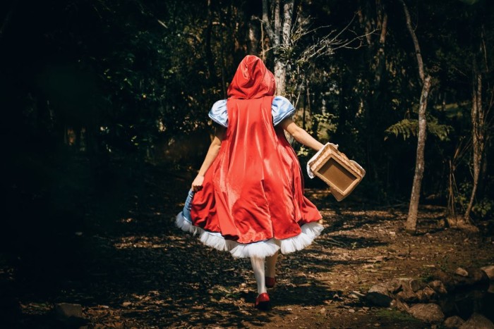 Programação dos espaços culturais administrados pela Fundação Catarinense de Cultura de 25 a 31 de janeiro