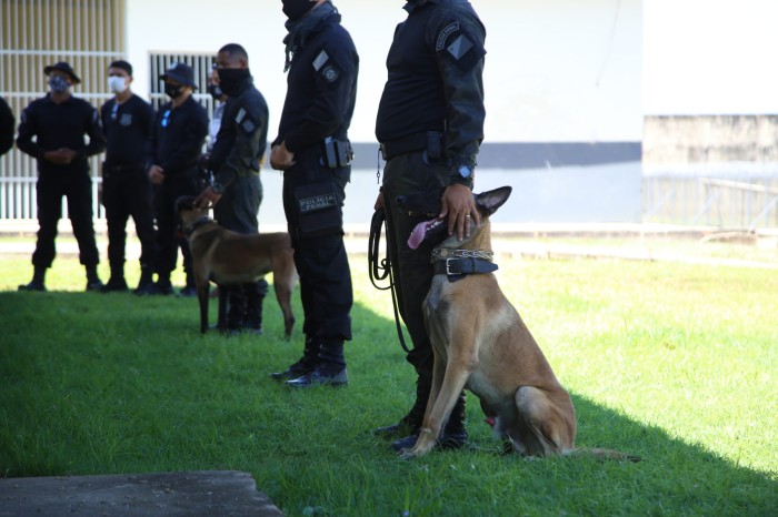 Governo divulga resultado preliminar da prova de aptidão física e abertura de recurso do concurso do Iapen