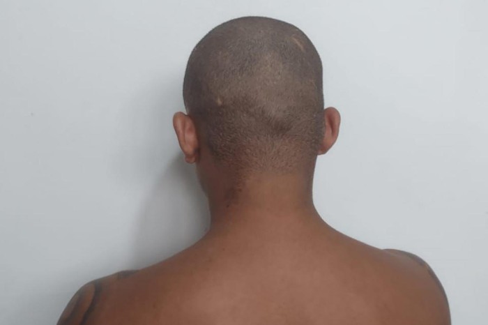 Crédito: Divulgação