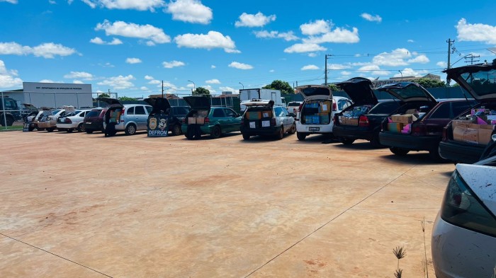 Foto: Reprodução/Polícia Civil - MS