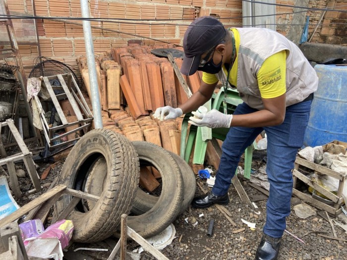 Saúde: Agentes de Endemias ampliam ações de prevenção e combate ao mosquito transmissor da dengue
