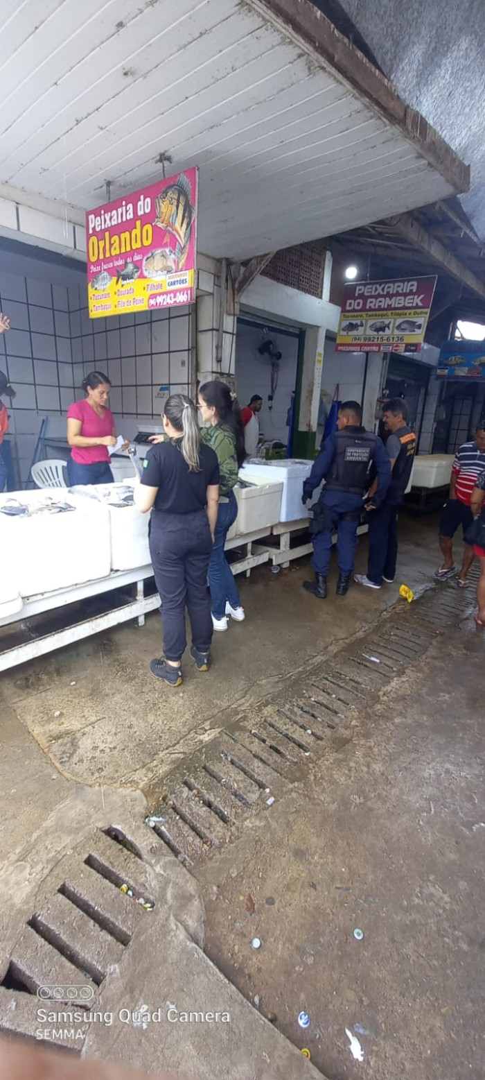 Piracema: Semma apreende pescado irregular na Feira da Folha 28