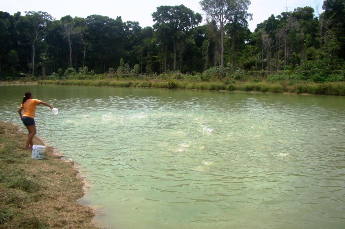 Crédito: ASCOM EMATER-Ted Quemel