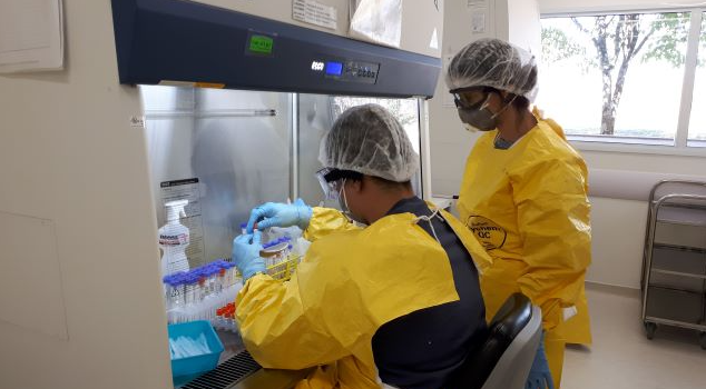 Objetivo do trabalho foi ajudar instituições que fazem testes de RT-qPCR a implementar uma ferramenta de controle de qualidade