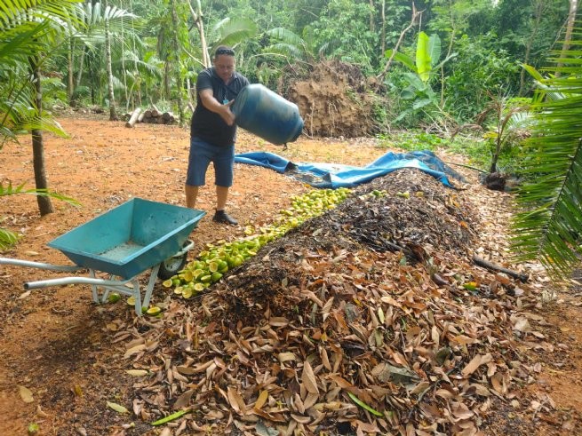 Viveiro Municipal recebe doações de hortaliças para compostagem
