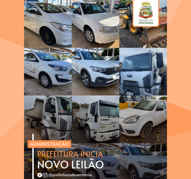 NOVO LEILÃO