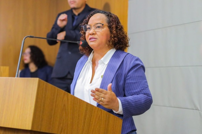 Silvana Noely solicita reforço na segurança das praias de São Luís