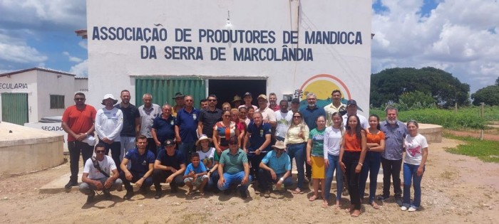 Sada atua no combate de praga em lavouras de mandioca no sul do Piauí