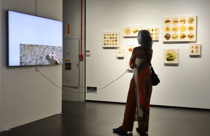 Fundação Catarinense de Cultura divulga programação de 1º a 7 de fevereiro