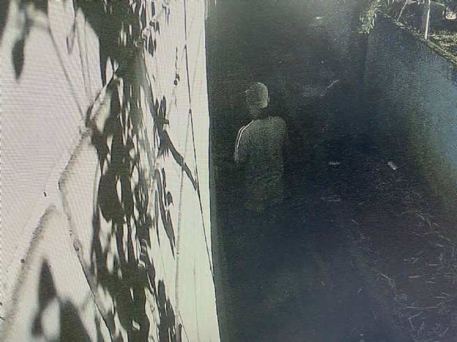 Foto: Reprodução/Prefeitura de São Sebastião - SP