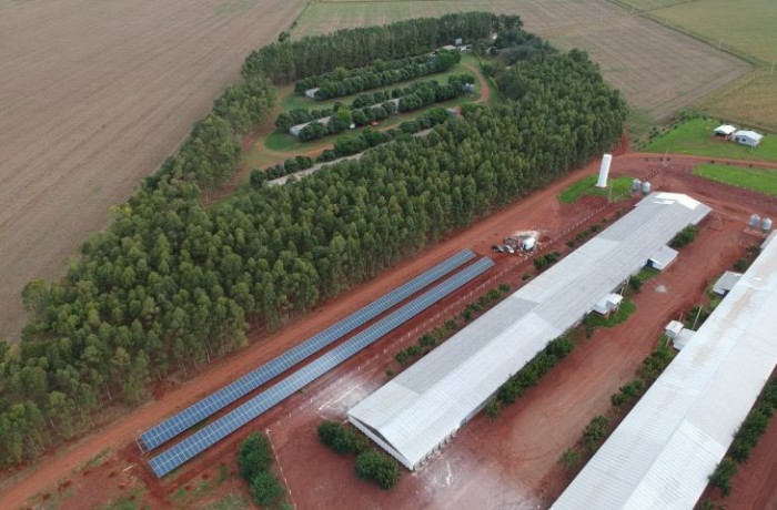 Foto: Reprodução/Secom Mato Grosso do Sul