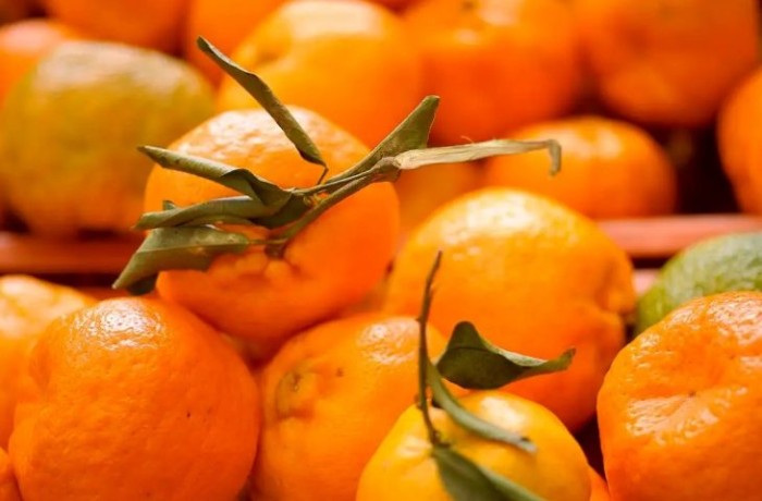 Foto: Reprodução/Secom Mato Grosso do Sul