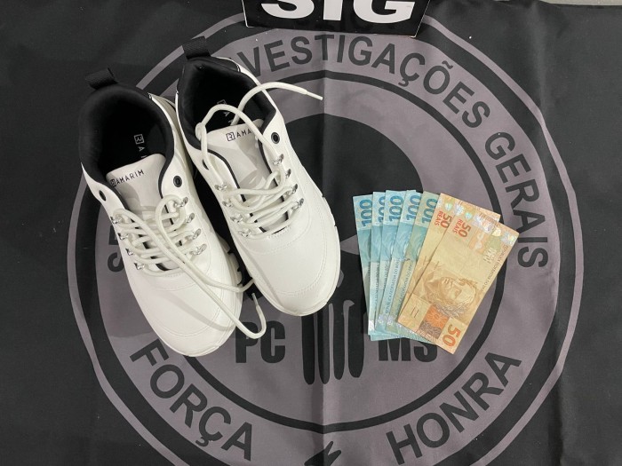 Polícia Civil prende autora de furto em Nova Andradina