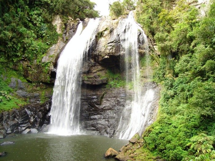 Reserva Biológica Estadual do Sassafrás celebra 47 anos neste domingo, 4 de fevereiro