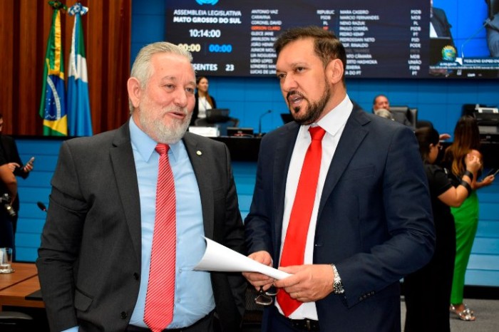Dois projetos de lei foram aprovados por unanimidade na Ordem do Dia desta terça-feira 