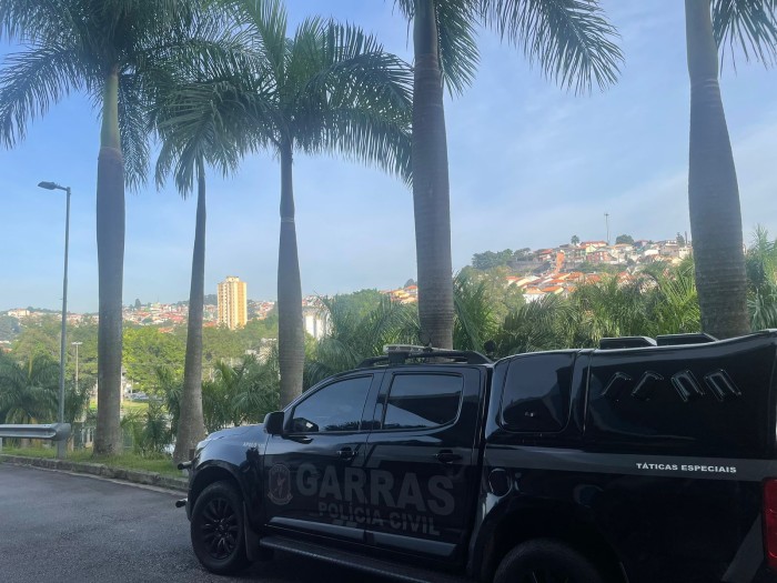 Foto: Reprodução/Polícia Civil - MS