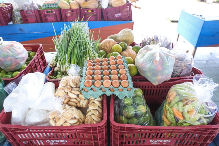 No Juruá, Programa de Aquisição de Alimentos beneficia produtores rurais, unidades hospitalares e entidades sem fins lucrativos