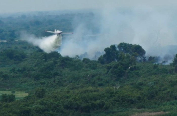 Foto: Reprodução/Secom Mato Grosso do Sul