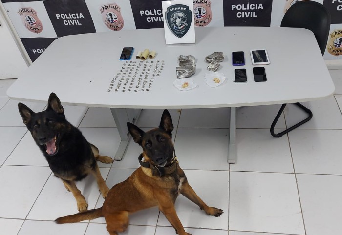 Polícia Civil deflagra operação de combate ao tráfico de drogas e prende sete pessoas em São Luís e Região Metropolitana