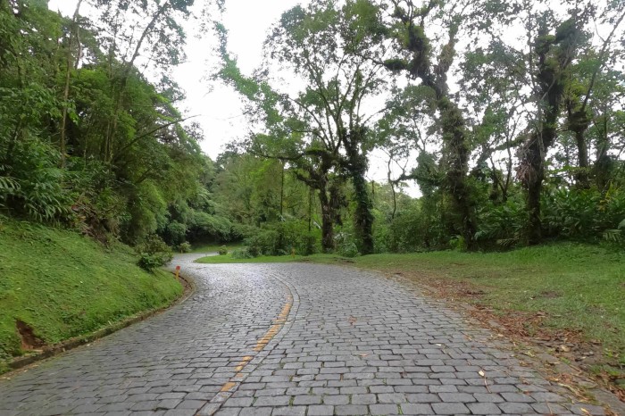 Licitação para avaliar áreas de risco da Estrada da Graciosa tem resultado final