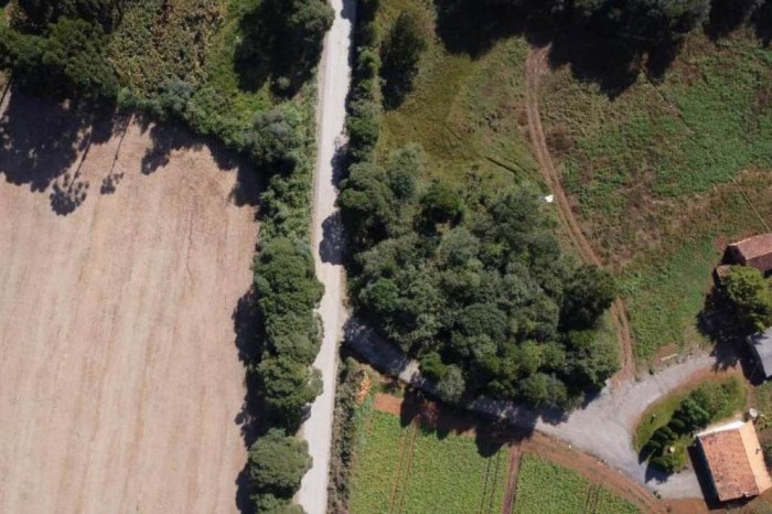 Rodovia de Rebouças terá obra de pavimentação com investimento de R$ 101 milhões