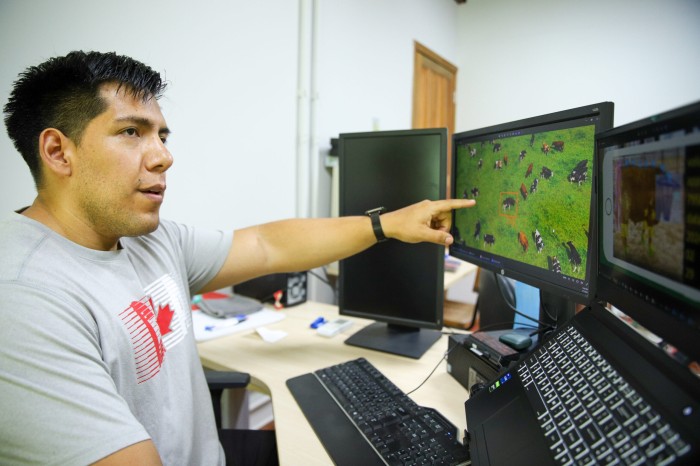 Por meio da inteligência artificial, pesquisa busca facilitar manejo animal no Acre