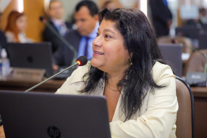 Karla Sarney faz requerimento pedindo reforma do mercado do São Raimundo