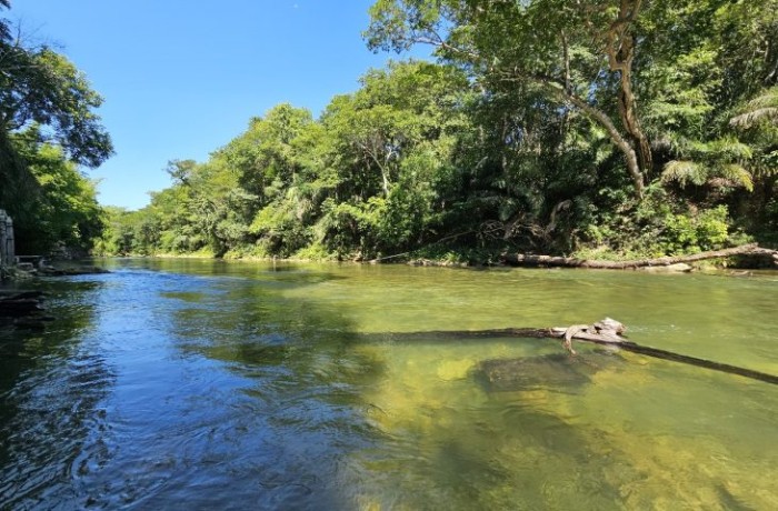 Foto: Reprodução/Secom Mato Grosso do Sul
