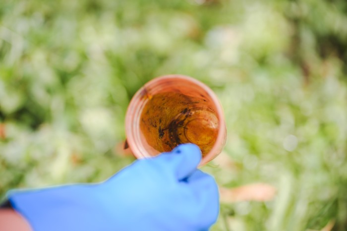 Foto: Reprodução/Secom SC