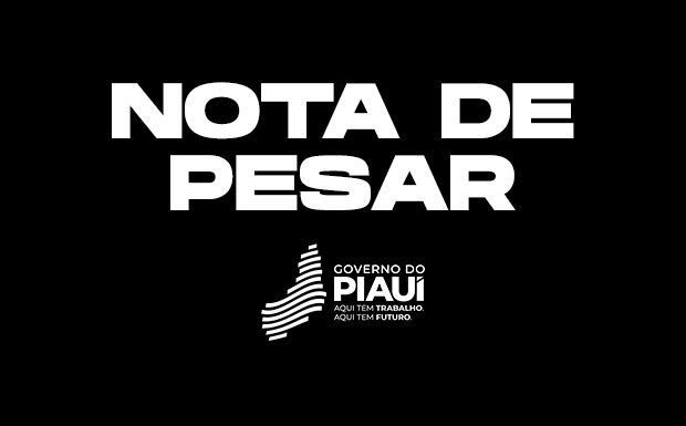 Foto: Reprodução/Secom Piauí