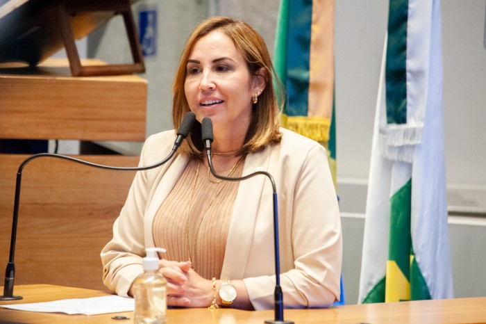 Dayse Amarilio defende “força tarefa”na Saúde, distritais concordam