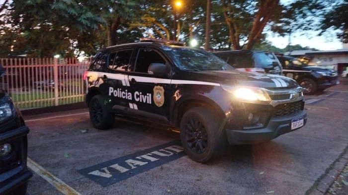 Foto: Reprodução/Polícia Civil - MS
