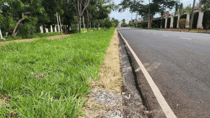 Prefeitura de Rio Preto investe em Capina Elétrica