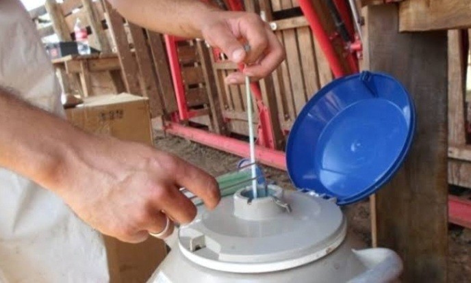 Prefeitura recebe insumos do Programa Mais Pecuária Brasil