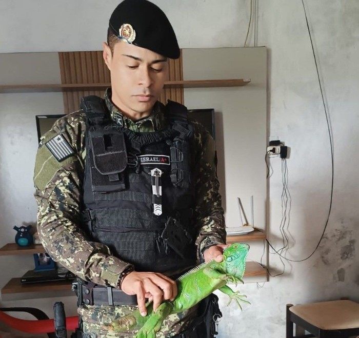 Polícia Ambiental já realizou quase 300 resgates de animais silvestres em áreas residenciais de Teresina em 2024