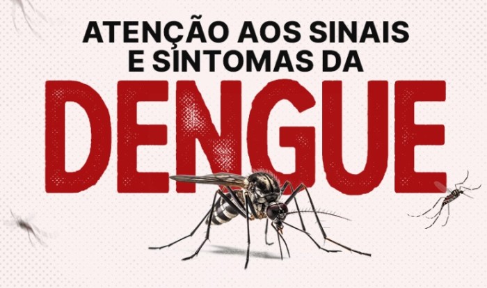 Foto: Reprodução/Secom SC