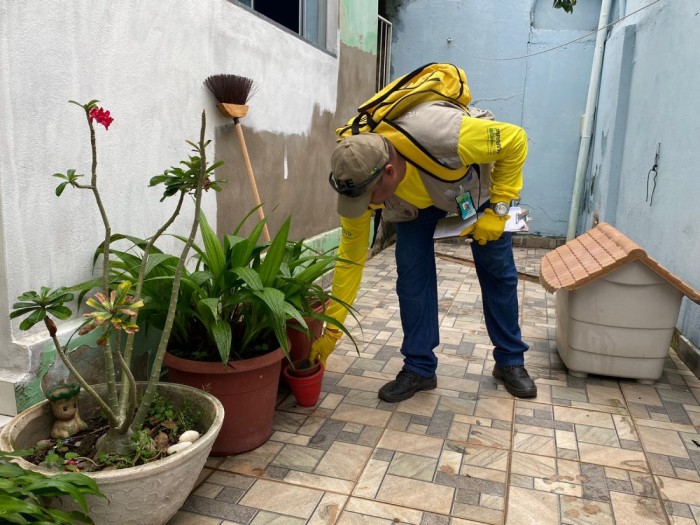 Saúde: Departamento de Endemias intensifica ações de combate à dengue em todos os bairros