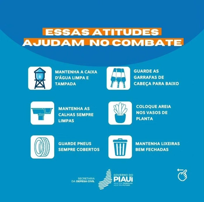 Defesa Civil alinha ações de combate à dengue no Piauí