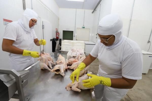 Vereadora sugere parceria entre os municípios circunvizinhos para regionalização da administração do abatedouro municipal