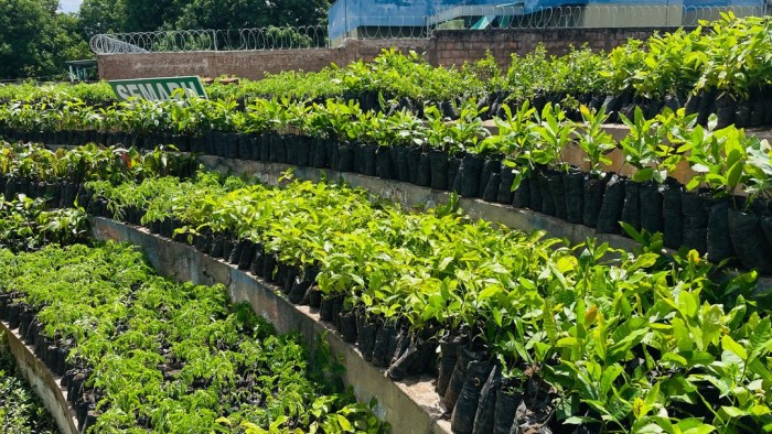 Semarh promove distribuição de mudas e inaugura sistema de abastecimento de água em União