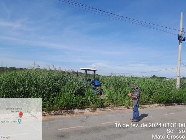Foto: Reprodução/Prefeitura de Sorriso - MT